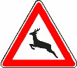 wildwechsel.jpg