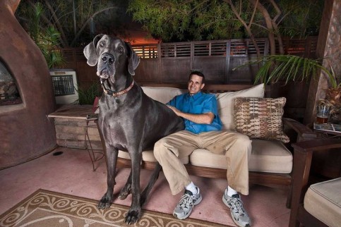 kami_Giant_George__1027065p.jpg