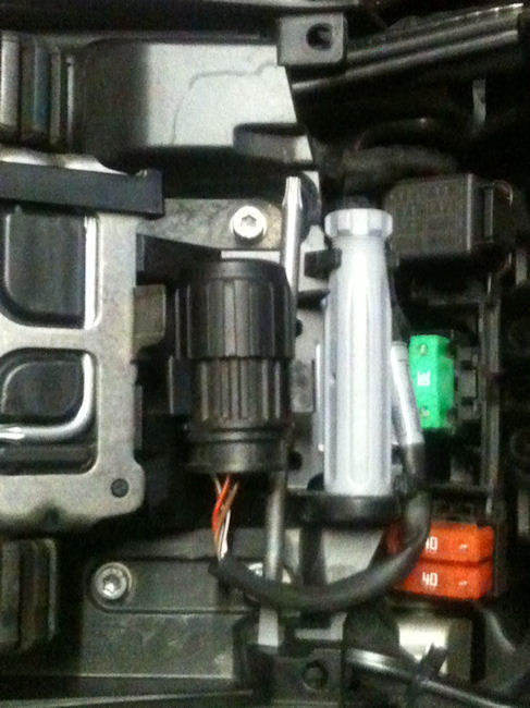 Stecker.jpg