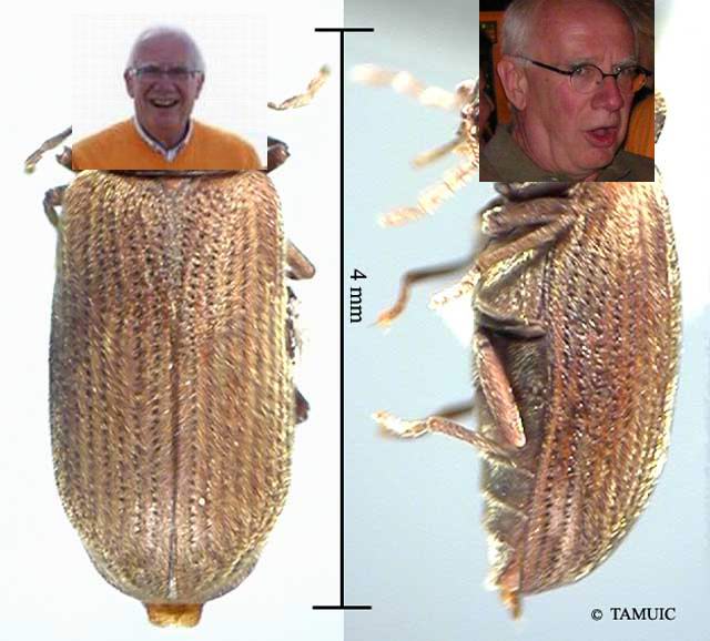 holz.jpg