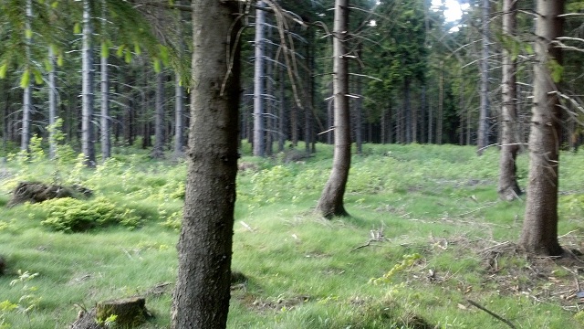2012-05-18_18-56-46_162.jpg