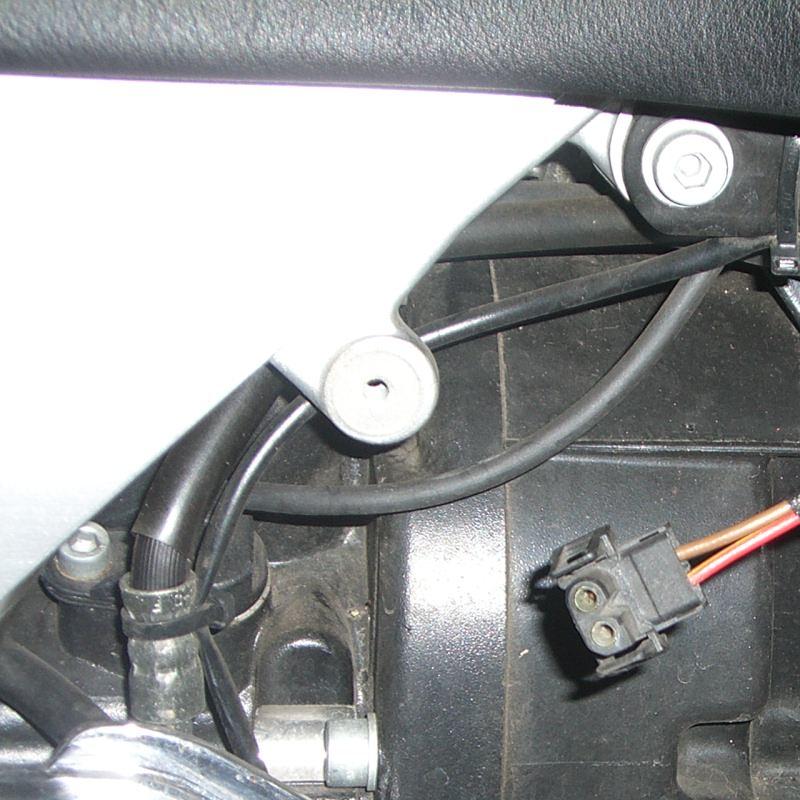 Stecker2.JPG