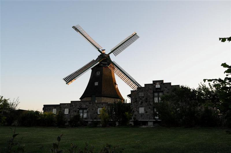 _01(Medium).JPG