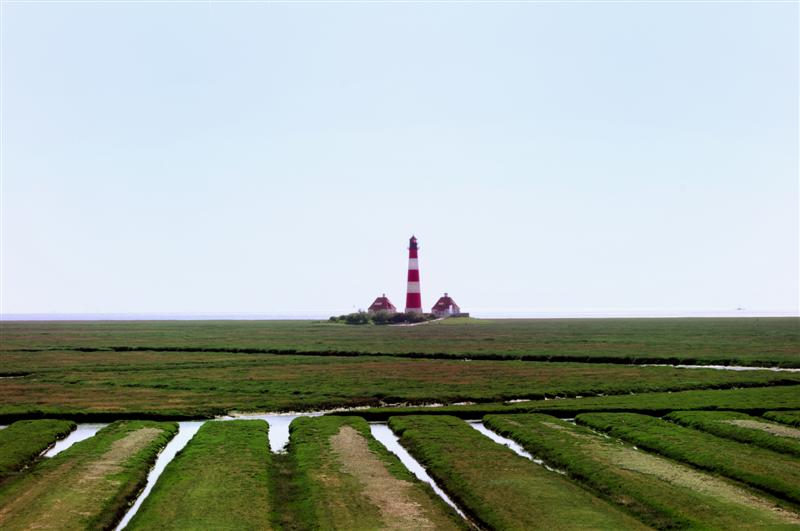_06(Medium).jpg