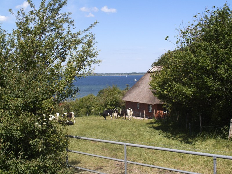 PICT0254.JPG