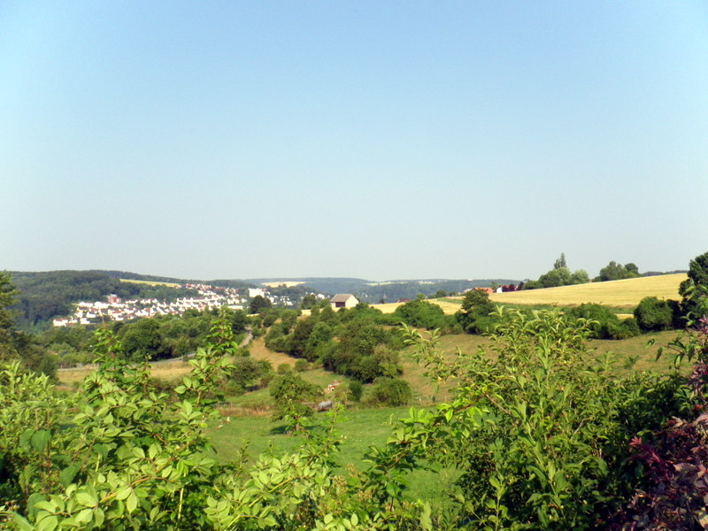 IMGP5114.JPG