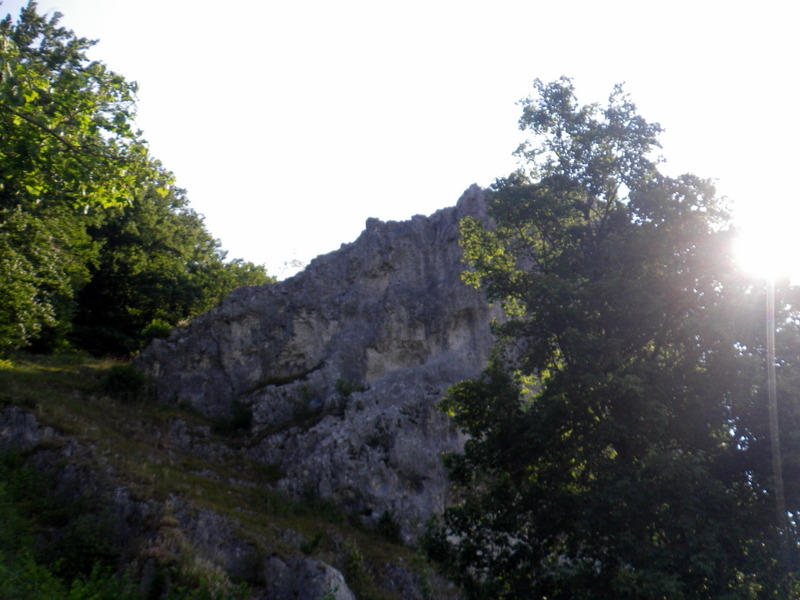 IMGP5116.JPG