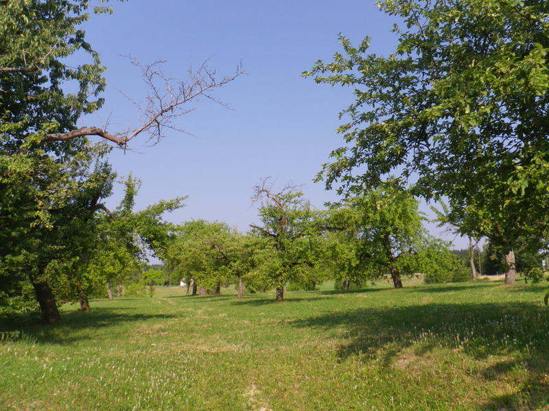 IMGP5120.JPG