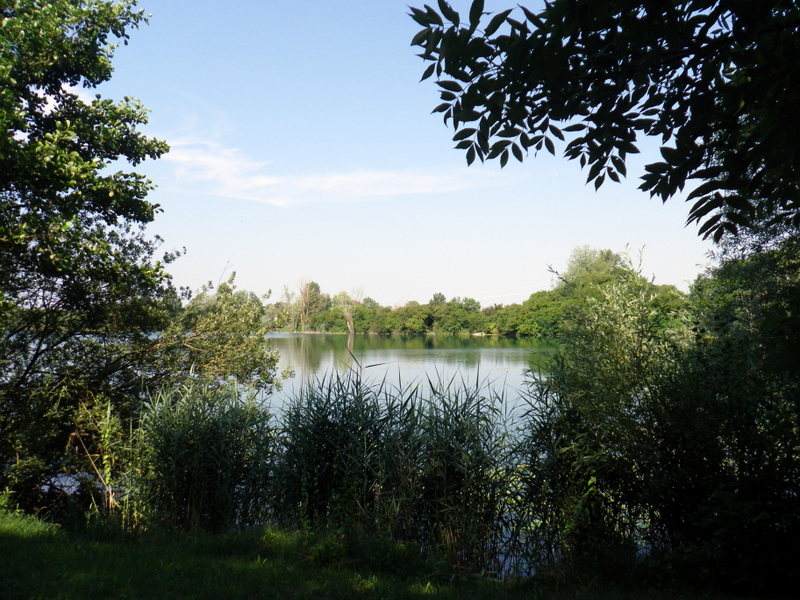IMGP5168.JPG
