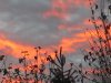 Sonnenuntergang Rt.jpg