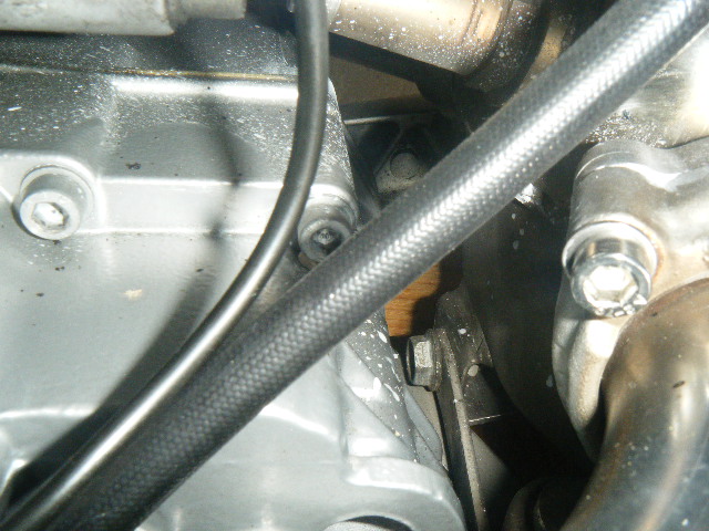DSCF1562.JPG