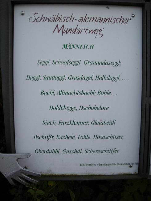 mann.jpg