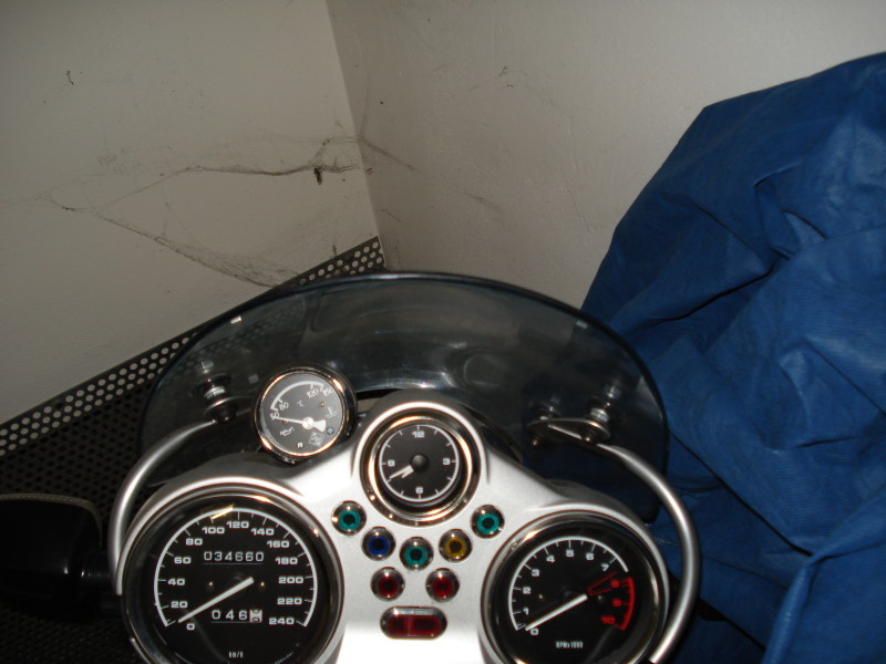 DSC00877.jpg
