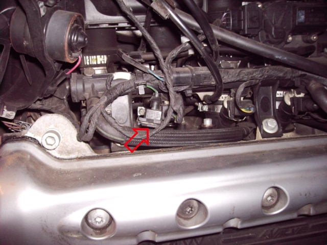Stecker.jpg