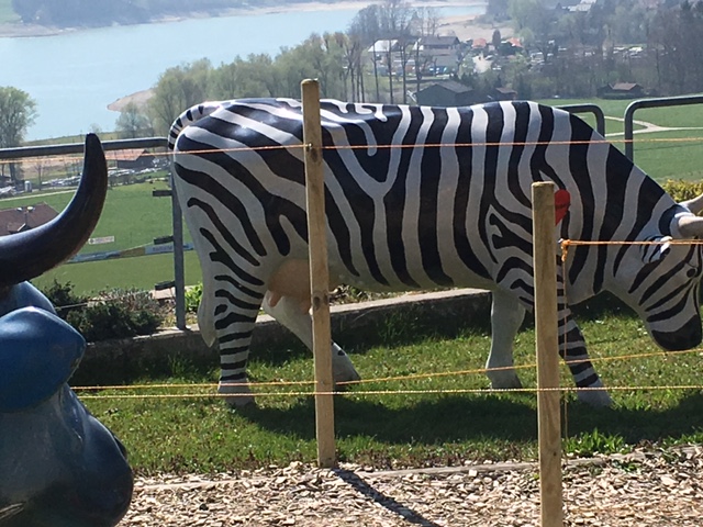 Bei Gruyère gesichtet.jpg
