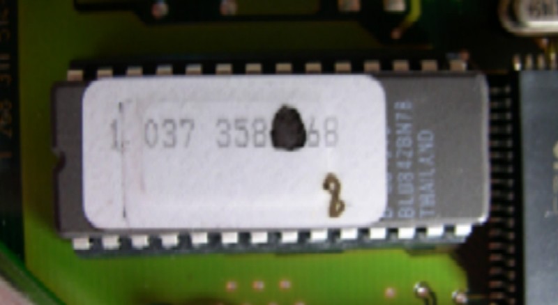 Chip.jpg