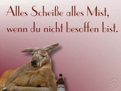 Thilo.jpg