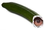 Sehgurke.jpg