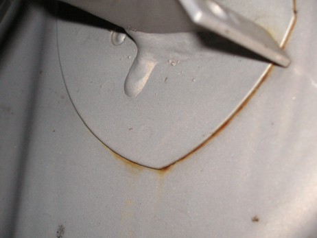 rost2.jpg