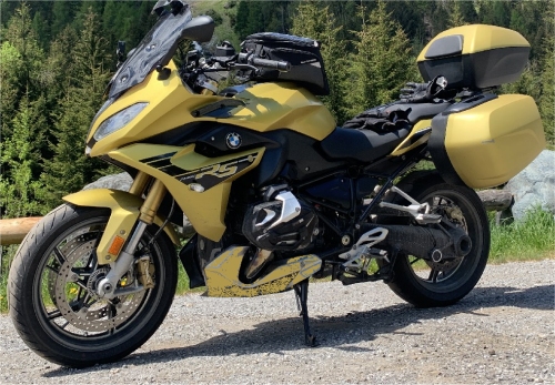 MS-yellow.jpg