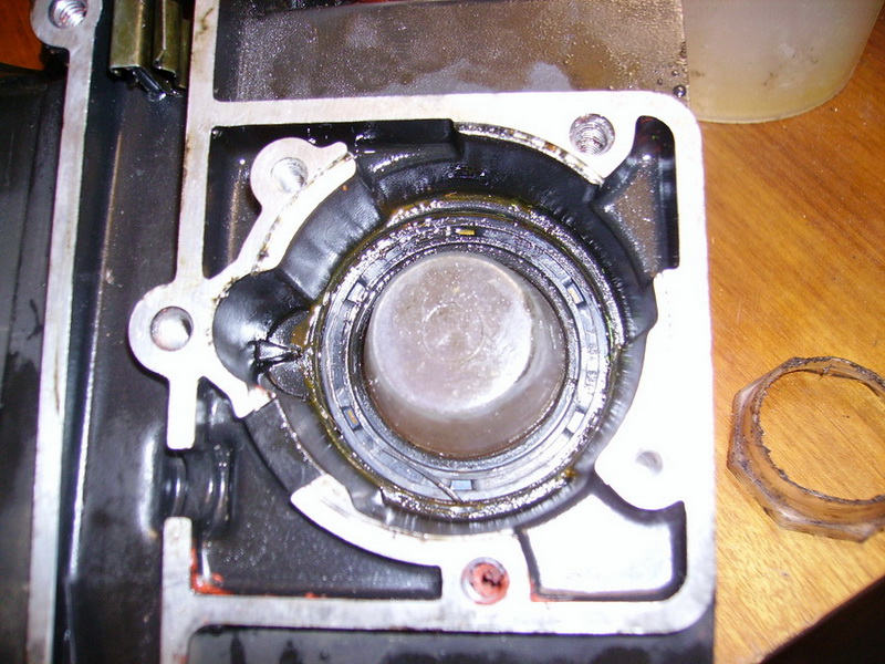 IMGP1912-1.jpg