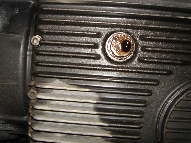 DSC07881_.JPG
