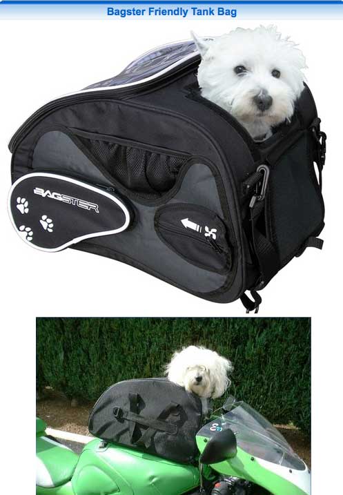 bagster.jpg